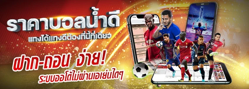 สมัครสมาชิก confirm789 รับโบนัสต้อนรับสมาชิกใหม่